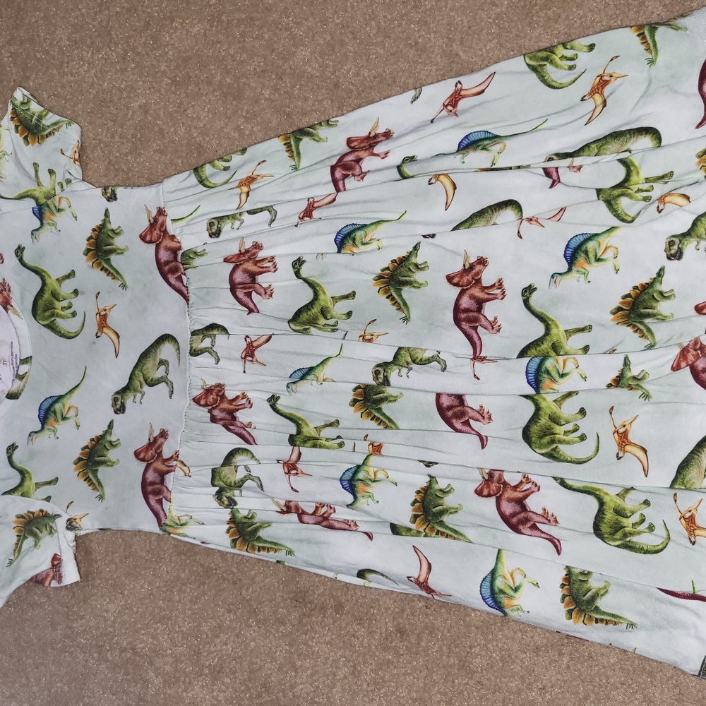Dinosaur Print Dress